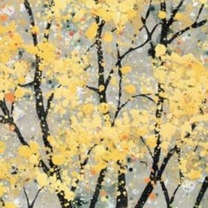 Meet your Posher, Cheri